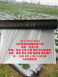 Black and Silver Agricultural Mulch Film for Weed Control, Insulation, and Moisture Retention