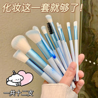 12-Piece Sky Blue/Pink Makeup Brush Set with Soft Eyeshadow and Powder Brushes for Beginners