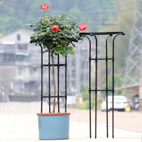 Garden Assembled Plant Support Trellis for Climbing Roses and Clematis, Umbrella Shape