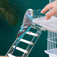 Acrylic Bird Training Play Stand Perch with Ladder for Parrots and Small Pets