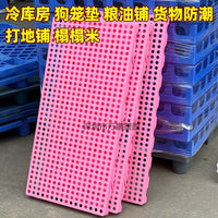 Moisture-Proof Plastic Pallet for Warehouse Cold Storage and Pet Cages