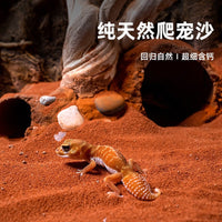 Reptile Calcium Sand Substrate for Lizards Spiders Scorpions Terrariums, Odor Control & Moisture Absorbing