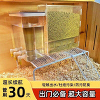 Automatic Feeder and Waterer Set for Quail and Rutin Chickens, Anti-Scratch Acrylic Design