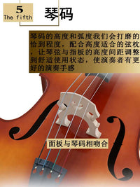 Beginner 4-String Wooden Upright Bass Double Bass for Practice and Learning