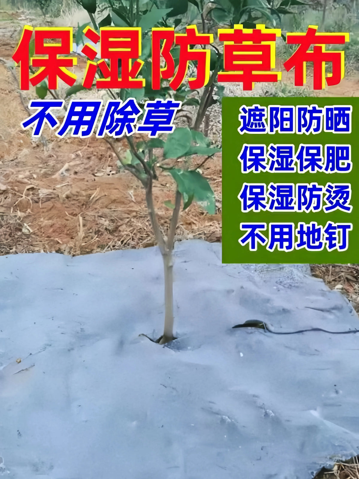 Agricultural Orchard Weed Barrier Fabric - 10-Year Lifespan, Breathable, Permeable, Moisture-Retaining, Fertilizer-Preserving, Frost Protection