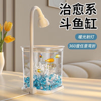 Mini Betta Fish Tank with LED Light, Desktop Aquarium for Office Home Decor