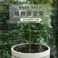Plant Support Stakes for Climbing Vines, Flowers, and Potted Plants - Rustproof Iron Trellis for Indoor and Outdoor Use