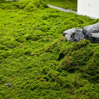 Artificial Moss Landscape Mat for Micro-Landscape and Potted Plant Decoration
