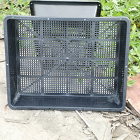 Thickened Rectangular Plastic Seedling Tray for Succulents and Rice Sprouts, Storage and Cultivation Box