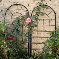 Metal Garden Trellis for Climbing Plants, Rose, Clematis, and Vines - Outdoor Balcony Plant Support