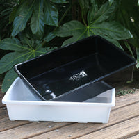 Rectangular Solid Succulent Planter Tray for Seedling Propagation and Observation