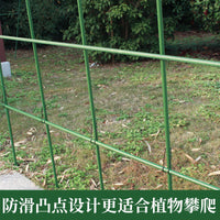 Garden Plant Trellis Netting Support Frame for Climbing Plants, Roses, and Vines