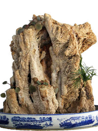 Natural Absorbent Stone Mountain Ornament for Fish Tank Landscaping and Bonsai