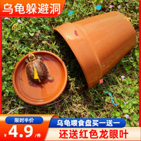 Terracotta Turtle Basking Platform & Hideaway Cave for Reptiles and Fish Tanks