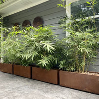 Outdoor Wrought Iron Rusty Planter Box for Garden and Patio