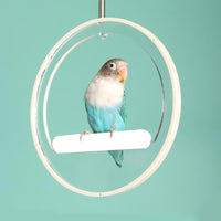 Acrylic Bird Training Play Stand Perch with Ladder for Parrots and Small Pets