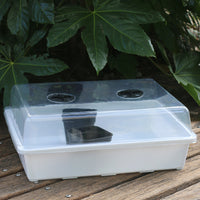 Rectangular Solid Succulent Planter Tray for Seedling Propagation and Observation