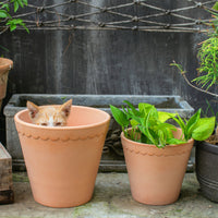 Korean Style Terracotta Planter with Wavy Rim for Outdoor Plants
