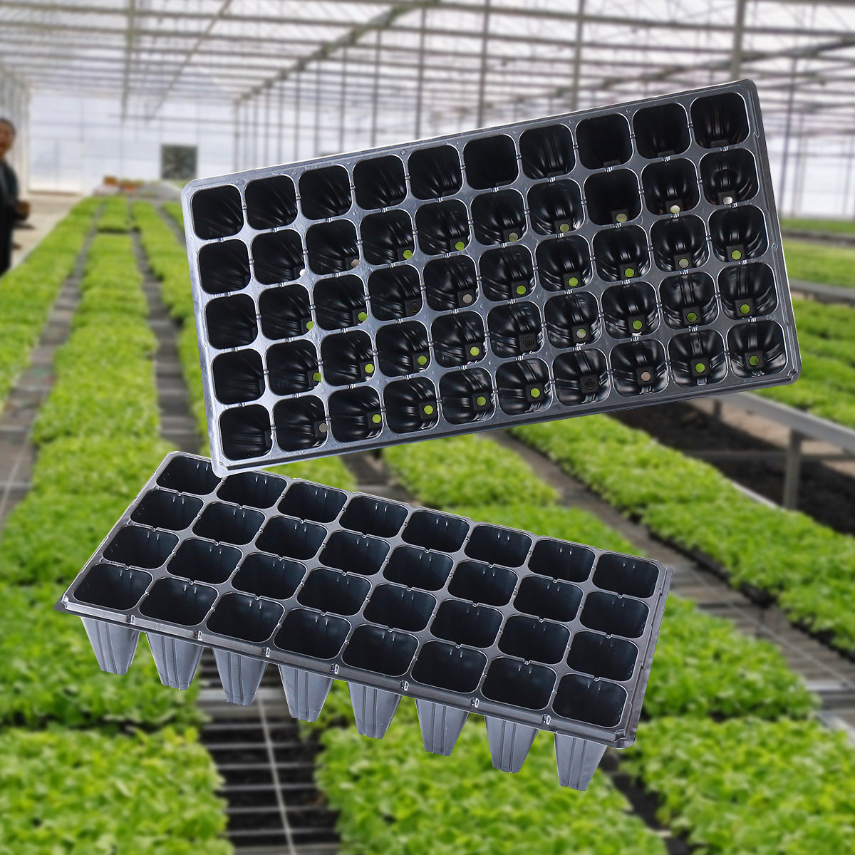 Thickened Deepened Seedling Trays for Forestry, Grass, Succulents, Vegetables, Fruits - Plastic Nursery Planter