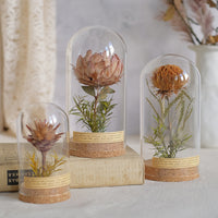 Vintage Dried Flower Specimen Glass Dome Ornament for Home Decor and Gifting