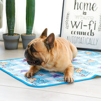 Pet Cooling Mat Breathable Ice Silk Pad for Dogs and Cats, Summer Sleep Mat