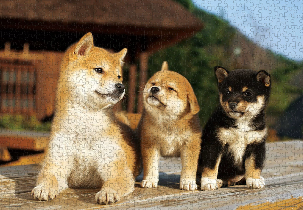 Cute Shiba Inu Dog Wooden Jigsaw Puzzle for Adults and Kids, 1000 Pieces, Stress Relief Educational Toy