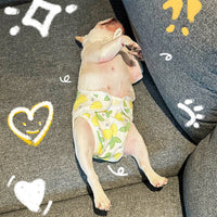 Pet Dog Cat Cotton Physiological Pants with Suspenders for Menstrual Period Anti-Harassment