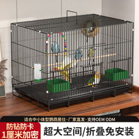 Foldable Metal Bird Cage for Parakeets, Cockatiels, and Small Birds with Accessories