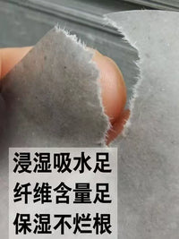 Seedling Germination Paper for Hydroponic Vegetable Cultivation