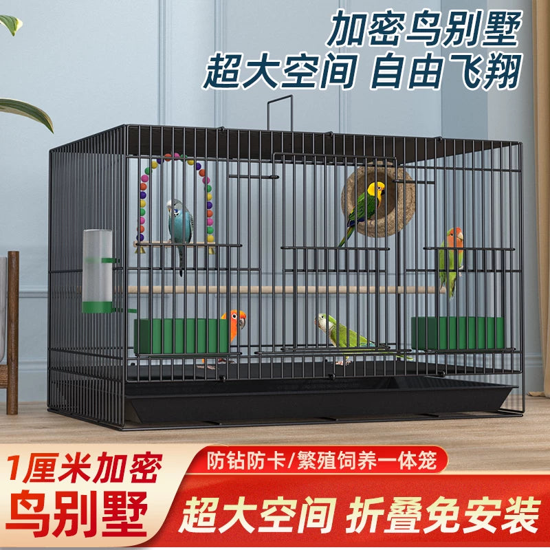 Large Metal Bird Cage for Parakeets, Mynahs, Lovebirds, and Pigeons with Accessories