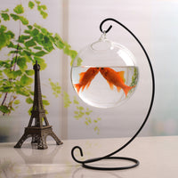 Hanging Glass Terrarium Fish Tank with Iron Stand for Plants and Small Fish