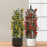 Rose and Clematis Garden Trellis for Climbing Plants, Outdoor Metal Arch Support