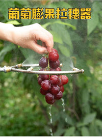 Ring Open Spray Nozzle for Fruit and Vegetable Irrigation