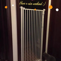 No-Drill Pet Gate for Cats and Dogs, Indoor Safety Barrier, Space-Saving Isolation Gate for Home