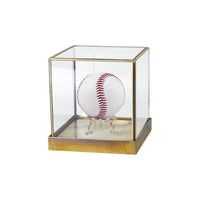 Creative Golf Baseball Billiard Signature Ball Display Case with Glass Dome and Dustproof Base