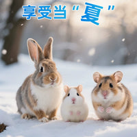 Pet Hamster Cooling Pad Aluminum Plate for Summer Heat Relief