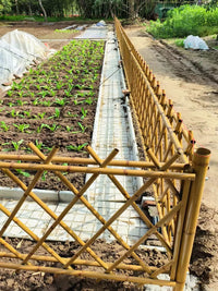 Stainless Steel Bamboo-Look Garden Fence for Outdoor Yard and Farm