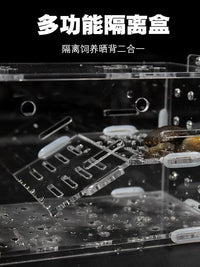 Acrylic Turtle Isolation Breeding Box with Basking Platform for Aquatic Tanks