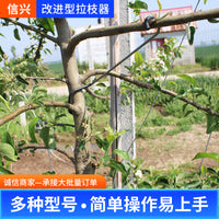 Fruit Tree Branch Spreader and Bender for Shaping and Fixing