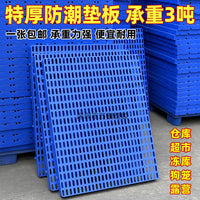 Moisture-Proof Plastic Pallet for Warehouse Cold Storage and Pet Cages