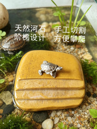 Natural Turtle Basking Platform with Anti-Slip Steps and Hiding Cave for Aquarium Decor