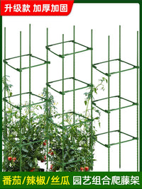 Plant Support Stakes for Climbing Vines, Tomatoes, Eggplants, Cucumbers, and Roses