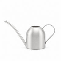 Stainless Steel Watering Can for Indoor Plants, Long Spout, 1.5L