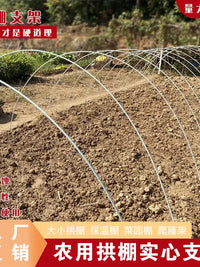 Fiberglass Greenhouse Hoops for Garden Tunnels, Plant Support, and Row Covers