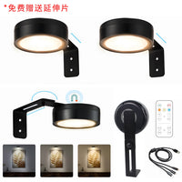 Magnetic LED Art Display Light with Remote Control for Home Wall Decor