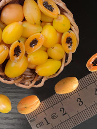 Miniature Papaya Simulation Fruit Model for Dollhouse and OB11 Dolls