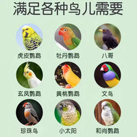 Automatic Bird Feeder with Spill-Proof Design and Seed-Hull Separation for Parrots
