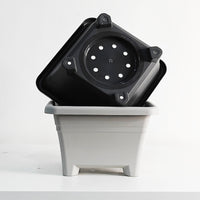 Universal Plastic Square Bulb Planter for Hyacinths, Lilies, and Oxalis