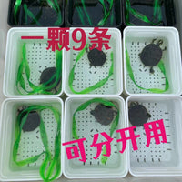 Artificial Aquatic Plants for Fish and Turtle Tanks, Anti-Bite and Anti-Drowning Decor