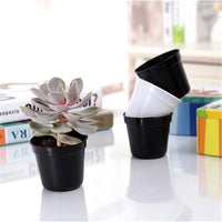 Plastic Nursery Pots for Seedlings and Succulents - White and Black Small Round Planters